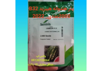 قیمت بذر هندوانه B۳۲ در کرج قیمت بذر هندوانه کریسون سوئیت B32