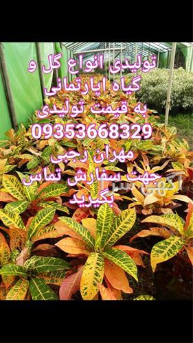 آگهی های کشاورزی و دامداری - سرخس