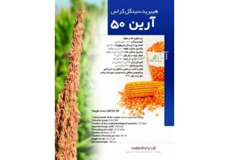 بذر ذرت علوفه ای آرین 50