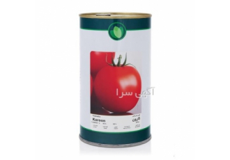 فروش بذر گوجه فرنگی کارون