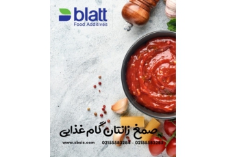 گزانتان گام Xanthan Gum Food Grade واردات مستقیم صمغ گزانتان گام mesh