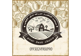 دستگاه آبغوره گیری ، فروش دستگاه آبلیمو گیری