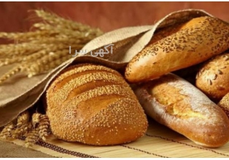 سرمایه گذاری در صنعت نان (ساخت وتولید)