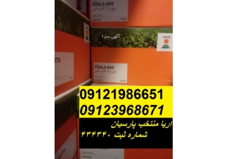 فروش مستقیم بذر چغندر قند آلمانی و فرانسوی و دانمارکی فروش انواع بذر