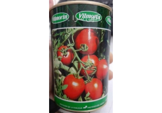 بذر گوجه فرنگی ویلمورین ، فروش خوب