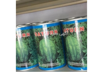 فروش بذر میکادو ساترن