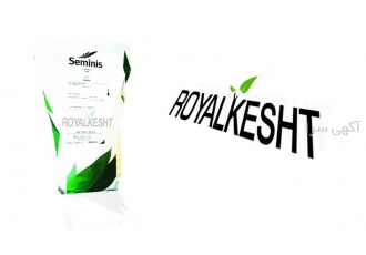 بذر نخود فرنگی دوریان سیمینس در تهران نام برند سمینیس سیمینس Brand
