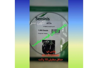 قیمت بذر بادمجان بلن در کرج قیمت بذر بادمجان بلن را در سایت کاشف بذر