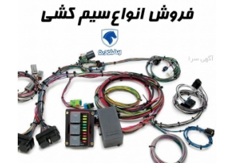 فروش انواع دسته سیم دناکو پخش انواع سوکت و دسته سیم انواع خودرو