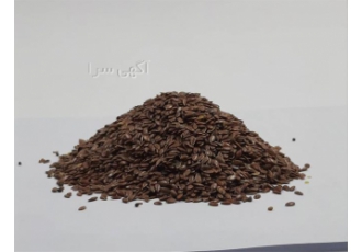 قیمت خرید کتان سرخ در تهران فروش کتان سرخ درجه یک سرشار از ویتامین قیمت