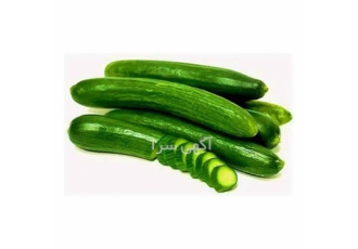بذر خیار Green Star یو اس آگریسیدز در تهران بذر خیار زودرس بذر خیار