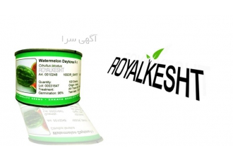 هندوانه دایتونا قوطی