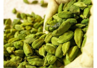 پخش انواع مختلف هل سبز از درجه 1 تا هل MYQ