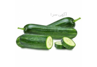 قیمت بذر خیار ناگین&#۱۶۰;ارسال به صورت رایگان در یزد بذر خیار گلخانه ای