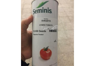فروش بذر گوجه فرنگی 8320 با قیمت مناسب