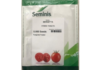 بذر گوجه فرنگی برنتا _ توزیع بذر