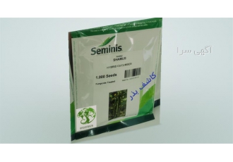 فروش بذر خیار شاموس