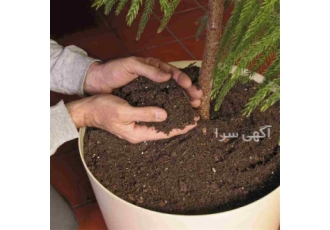فروش خاک بسته بندی گیاهان آپارتمانی در تهران فروش خاک بسته بندی گیاهان