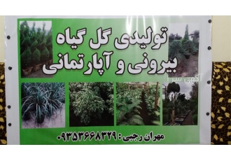 فروش گل و گیاه آپارتمانی و بیرونی شمال
