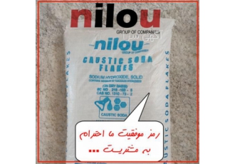 گروه نیلو صادرات سود پرک