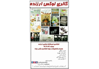 تخفیفات این ماه برنده بودن یک هنر است اگر دوست دارید برنده باشید پس