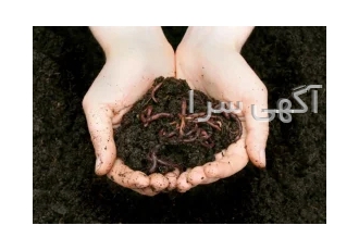 کود ورمی کمپوست با کیفیت در اصفهان کود ورمی کمپوست با کیفیت که دوره