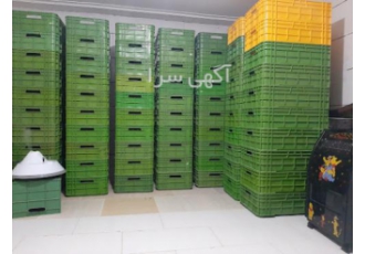 تولید کننده سبد پلاستیکی ورمی کمپوست تولید کننده انواع سبد پلاستیکی جهت