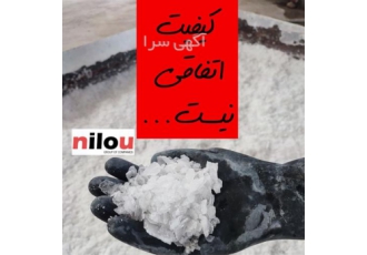 گروه نیلو صادرات سود پرک