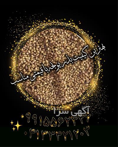 آگهی های بذر و نهال - گنبد کاووس