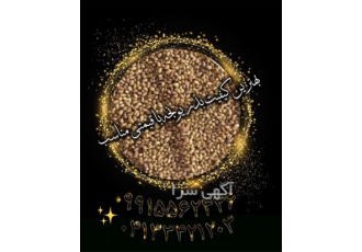 ارائه بهترین قیمت فروش بذر ، بذر یونجه نیکشهری