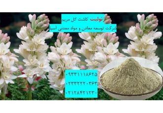 فروش ویژه زئولیت در پرورش گل مریم در تهران مواد معدنی طبیعی به عنوان