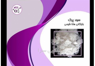 فروش ویژه سود پرک با قیمت استثنائی، سود پرک