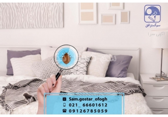 سمپاشی سوسک ریز ، سم پاشی رستوران ، سمپاشی ساس ،