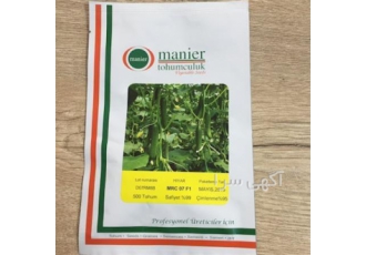 عرضه بذر خیار MRC07
