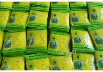 بذر خیار گلخانه ای کیهان - قیمت بذر خیار کیهان