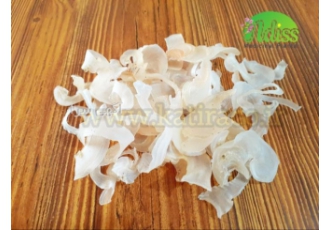 فروش عمده انواع صمغ کتیرا