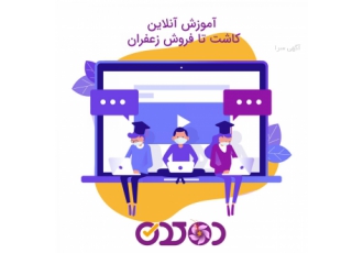 کار آفرینی و آموزش آنلاین کاشت زعفران برگزاری کلاس آنلاین کاشت زعفران