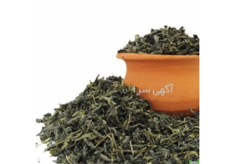 چای سبز طبیعی فروشنده چای ارگانیک در آستانه اشرفیه فروش چای سبز فله