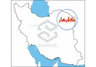 سرمایه گذاری مطمئن برای خانه دار شدن اینده فرزندانتان