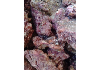 Buying and selling Iranian Anghuzeh در شیراز Buying and selling Iranian