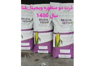 قیمت فروش بذر ذرت علوفه ای ویجیتا