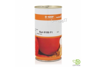 فروش بذر گوجه سانسید 6189 ارسال به سراسر کشور