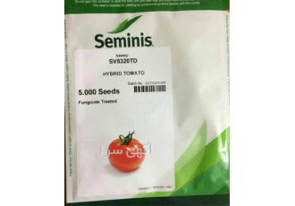 بذر گوجه فرنگی تی دی، بذر