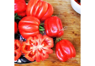 بذر گوجه فرنگیی بیف _ فروش بذرها
