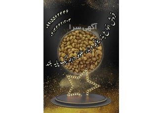 قیمت فروش بذر یونجه ؛ درجه یک در زیباکنار فروش بذر یونجه و بذر علوفه