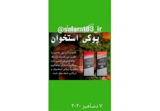 نمایندگی قهوه و قارچ گانودرما ، قهوه سوپریم