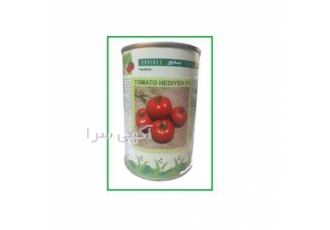 فروش بذر گوجه هدیه ( بذر گوجه پاییزه ) در بیرجند ویژگی های بذر گوجه