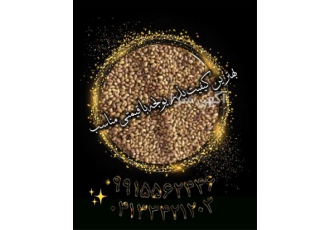 بذر یونجه درجه یک در ارقام متنوع