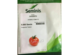 توزیع و فروش بذر گوجه فرنگی تی دی