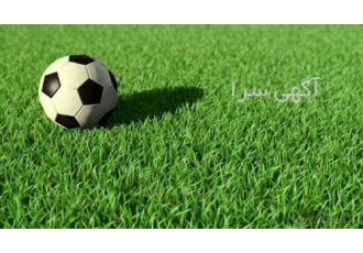 انواع چمن طبیعی و گرین وال در تهران انواع چمن طبیعی و گرین وال فروش